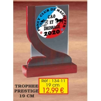 Trophée VERRE ET BOIS PRESTIGES : Réf. 134.11-19 cm